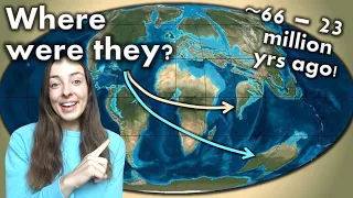 Paleogene Tectonics & Geography- Effect on Climate, Mammal Migration, & Mountain Building | GEO GIRL
