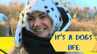 It's a Dogs Life [TV Comedy Pilot] – Edinburgh Napier University Television Production