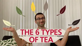 The 6 Types of Tea—in 6 Minutes!