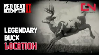 Red Dead Redemption 2 - Legendary Buck Location