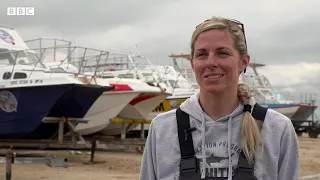 Mystery of great white sharks 'disappearing' from Cape Town coast - BBC News