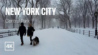 [4K] New York City 🗽 Winter Walk - Fifth Avenue & Central Park Snowstorm [Jan. 2022]