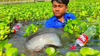 Amazing Fishing Video | Hook Fishing By Plastic Bottle Fish Trap | Simple Fishing Technique