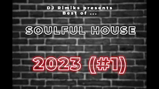 DJ Rimiks - Best of Soulful 2023 (#1)