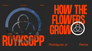 Röyksopp - 'How The Flowers Grow' ft. Pixx (Rodriguez Jr. Remix) (Official Visualiser)