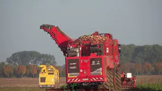 Holmer - Ropa - Fendt - Hawe -++ / Rübenernte - Harvesting Beets  2022  The Whole Story