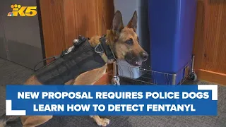 New proposal requires police dogs learn how to detect fentanyl