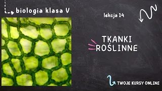 Biologia klasa 5 [Lekcja 14 - Tkanki roślinne]