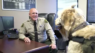 Teddy helps with Reentry program for the Sheriff