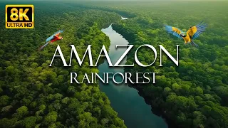 Amazon Rainforest 8K ULTRA HD - The World’s Largest Tropical Rainforest | Wildlife Film