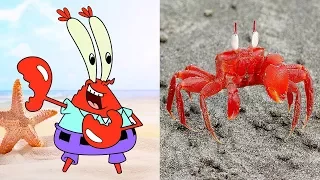 SpongeBob SquarePants Characters In Real Life | All Characters 2017