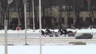 Московский ипподром. Бега. 07.02.16. Заезды 5/10 (68). ПРИЗ ПАМЯТИ В.О.ВИТТА