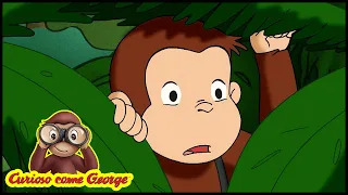 Curioso come George 🐵 La Settimana della Natura 🐵 Cartoni Animati per Bambini 🐵  Episodio Completo