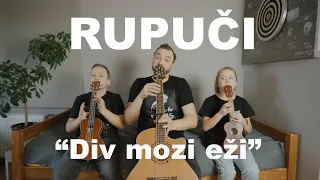 RUPUČI  - Div mozi eži