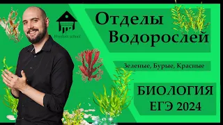 ВОДОРОСЛИ для ЕГЭ 2024 |ЕГЭ БИОЛОГИЯ|Freedom|