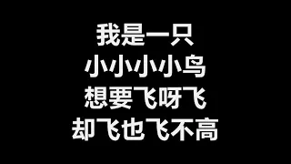 【原唱】 赵传 - 《我是一只小小鸟》 [歌词]