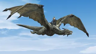 Wyvern conquers towns Lineage 2