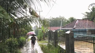 Heavy Rain and Great Thunder Accompanied My Journey | ASMR Walking in the Rain | Indonesia