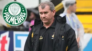 RAPAZ OLHA O QUE O TÉCNICO DO CRICIÚMA TENCATI FALOU DO PALMEIRAS ultimas noticias do palmeiras