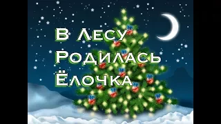 В ЛЕСУ РОДИЛАСЬ ЕЛОЧКА - НОВОГОДНЯЯ ПЕСНЯ ДЛЯ ДЕТЕЙ (ГЛАВНЫЙ ХИТ НОВОГО ГОДА 2018)