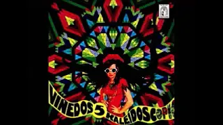 Various ‎– Vinedos Vol 5 Cosecha : 60s Rare Spanish Groups Garage Rock Psychedelic Music Compilation