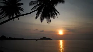 LoFi (beats to relax/study), Sunset in paradise, Relax, 4K  Медленный Бит, Закат в раю, Релакс, 4К