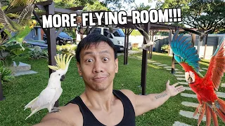 Planning Our New Outdoor Aviary For Our Parrots | Vlog #1659