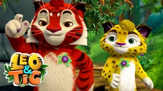 LEO and TIG 🦁 NEW 🐯 Episode 24 - Taiga Patrol ❤️ Moolt Kids Toons Happy Bear