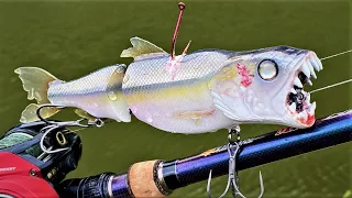 What Would Try To Eat This? Making a Gnarly CreekChub Fishing Lure
