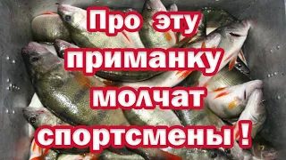 Спортсмены ПРО эту Приманку МОЛЧАТ !!!  Просто БРАКОНЬЕРСКАЯ СНАСТЬ на окуня и щуку!!!