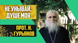 "Не унывай, душе моя". Прот. Николай Гурьянов