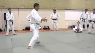 Katanishi Uchi Mata 1