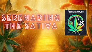 Serenading the Sativa: Music to Elevate Your Mind