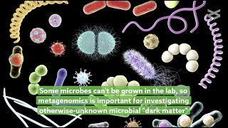 Assembling complete microbial genomes with Iterative Hybrid Assembly