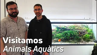 Explorando Animals Aquatics | Tienda de Acuariofilia en Barcelona 🐠🌿