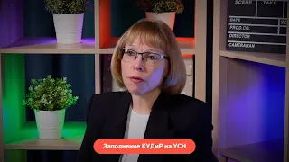 Заполнение электронной книги учета доходов и расходов