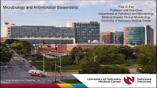 Microbiology and Antimicrobial Stewardship