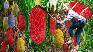 Harvesting Giant Pineapple ( Sea Pineapple ) - Cook New Food Goes to the market sell | Lý Thị Hoa