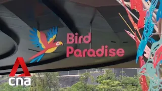 Bird Paradise welcomes 3,000 visitors on first day of soft opening
