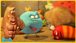 Larva Season 3 Full Episode || Larva Cartoons - Comics || Larva Official| Cartoon Box Top 50 of 2022