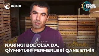 Naringi Bol Olsa Da, Qiymətlər Fermerləri Qane Etmir