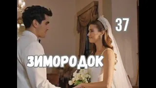 Зимородок 37 серия русская озвучка | Свадьба Ферита и Сейран