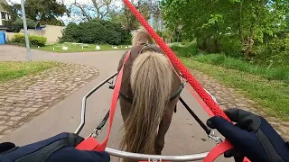 Sulky Fahren am Dorfrand - POV no talking