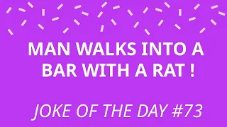 Joke Of The Day #73 - A MAN Walks Into A BAR With A RAT !