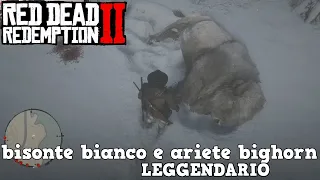 BISONTE BIANCO & ARIETE BIGHORN LEGGENDARI | RDR2 #39 (EPISODIO COMPLICATISSIMO)