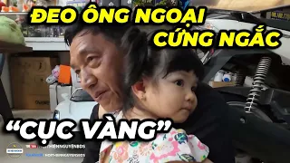 Cục vàng mê ông ngoại như điếu đổ, ông ngoại về là đeo cứng ngắc...