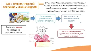 12.2. Травматический шок и синдром длительного сдавления (краш-синдром)