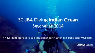 Дайвинг на Сейшельских островах / Seychelles diving 2014