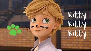 adrien showing his inner chat noir for 3 minutes and a half straight