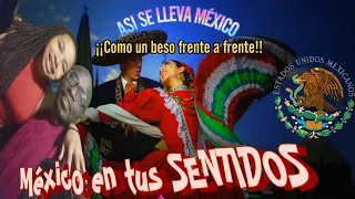 REACCIÓN A México en tus sentidos
